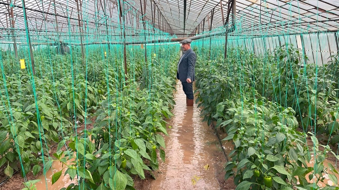 Antalya Kumluca'da Şiddetli Yağış Sonrası Su Baskınları