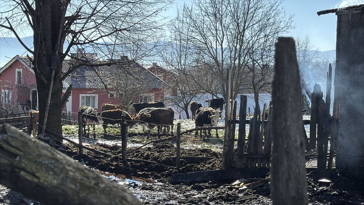 Bolu'daki Yangında Ahır ve Samanlık Kullanılamaz Hale Geldi