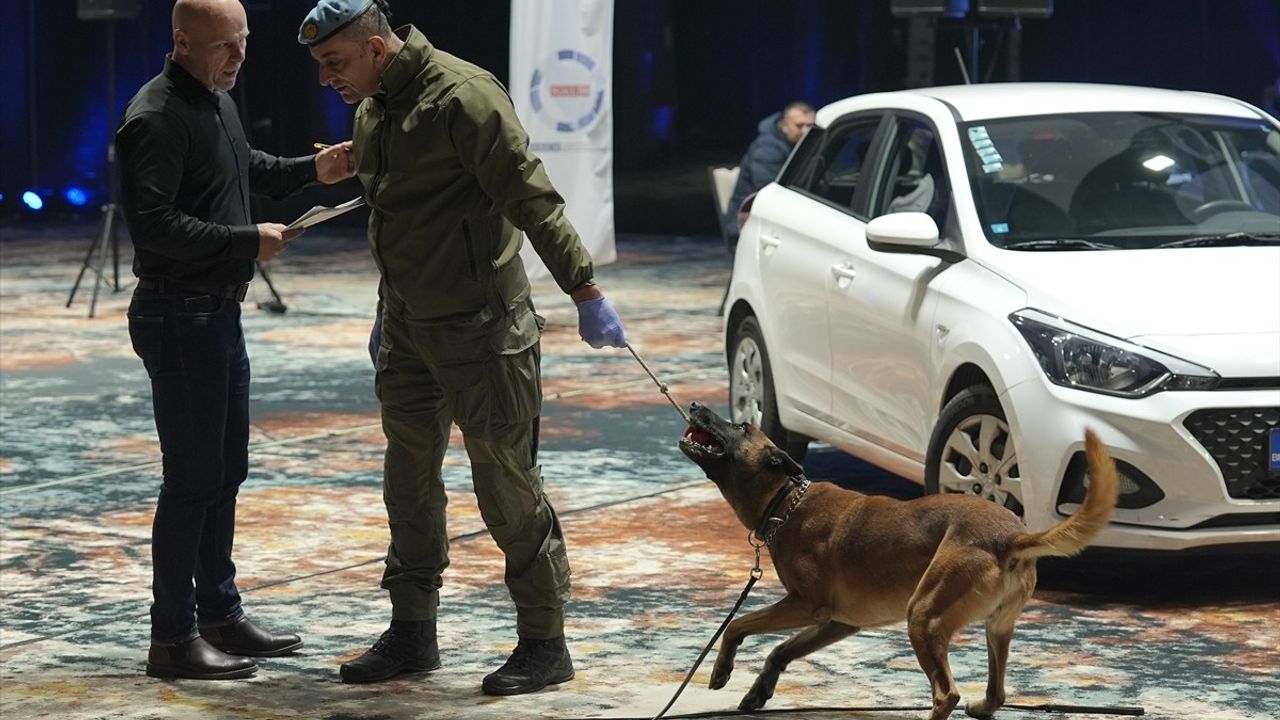 Bosna Hersek'te K9 Köpekleri Narkotik ve Silah Tespiti İçin Yarıştı