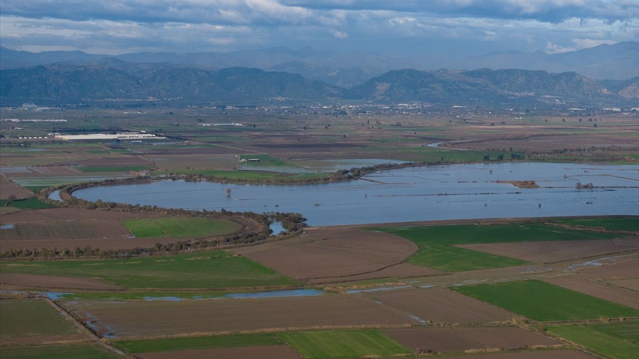 Büyük Menderes Nehri'nde Taşkınlar: Aydın Ovası'na Umut Oldu