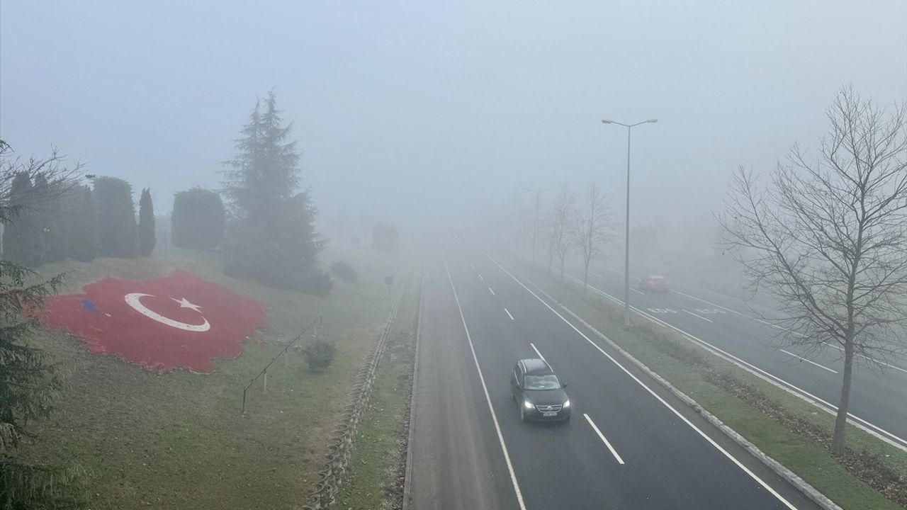 Düzce’de Sisin Trafiği Yavaşlatması: Anadolu Otoyolu'nda Ulaşım Güvenliği Tehditte