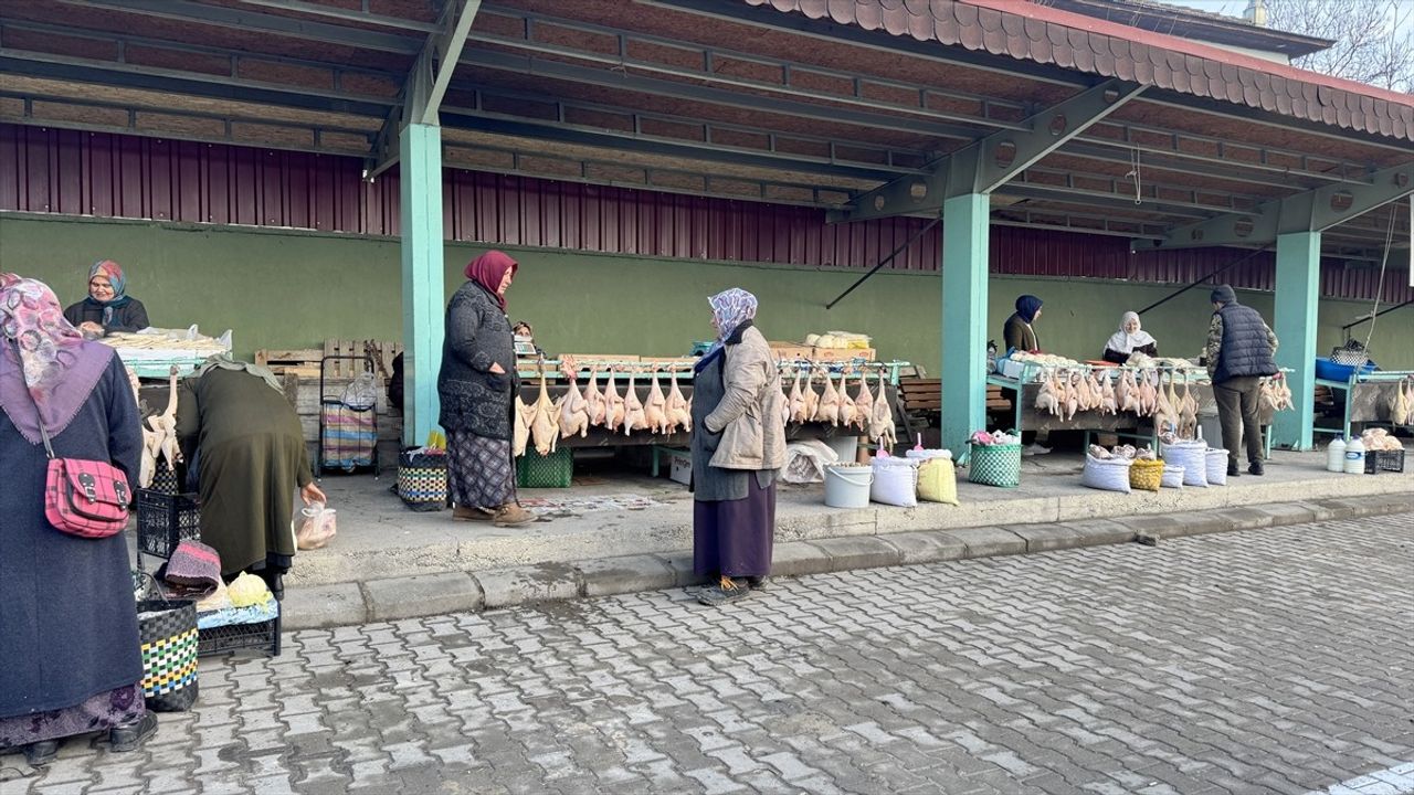 Eflani Hindisi Yeni Yılda Pazarda! Fiyatlar 550-600 Lira