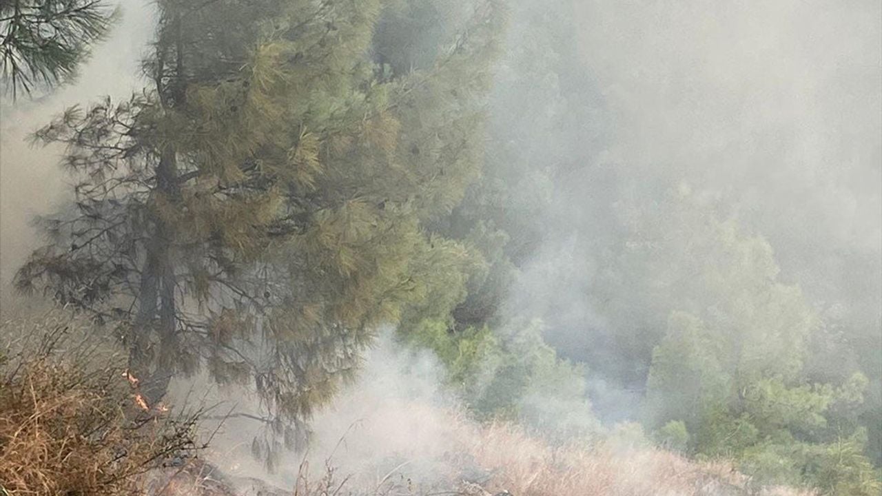 Hatay'daki Orman Yangını Kontrol Altına Alındı