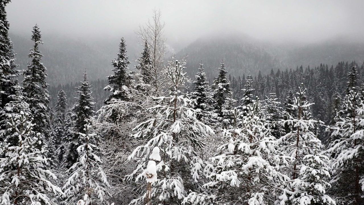 Ilgaz Dağı'nda Kar ve Sis Etkisini Gösterdi