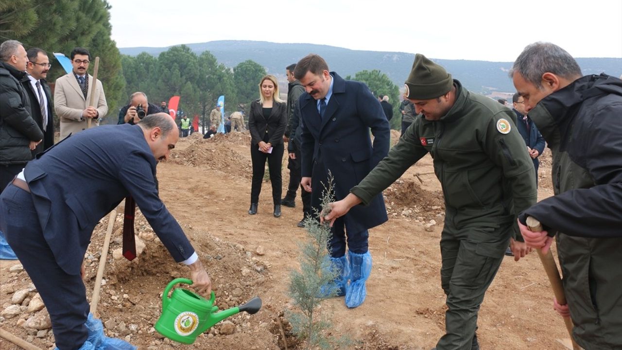 Kahramanmaraş'ta Fidanlar Toprakla Buluşturuldu: Adalet Hatıra Ormanı Kuruldu