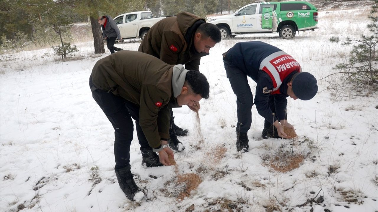 Kars'ta Yaban Hayvanları için Yiyecek Bırakıldı