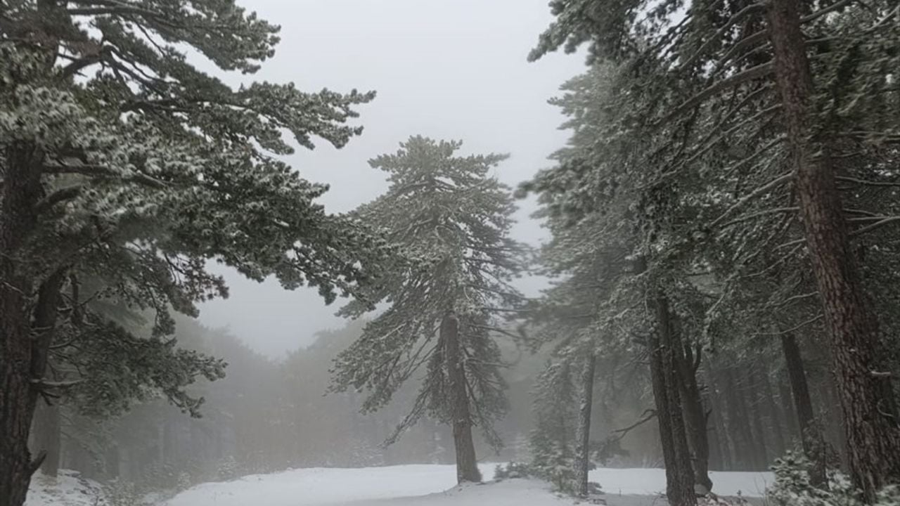 Kazdağı Milli Parkı Karla Kaplandı: Büyüleyici Manzaralar