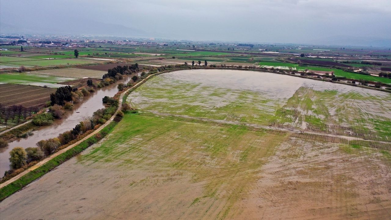 Kuraklık Sonrası Büyük Menderes Nehri Yağmurla Canlandı