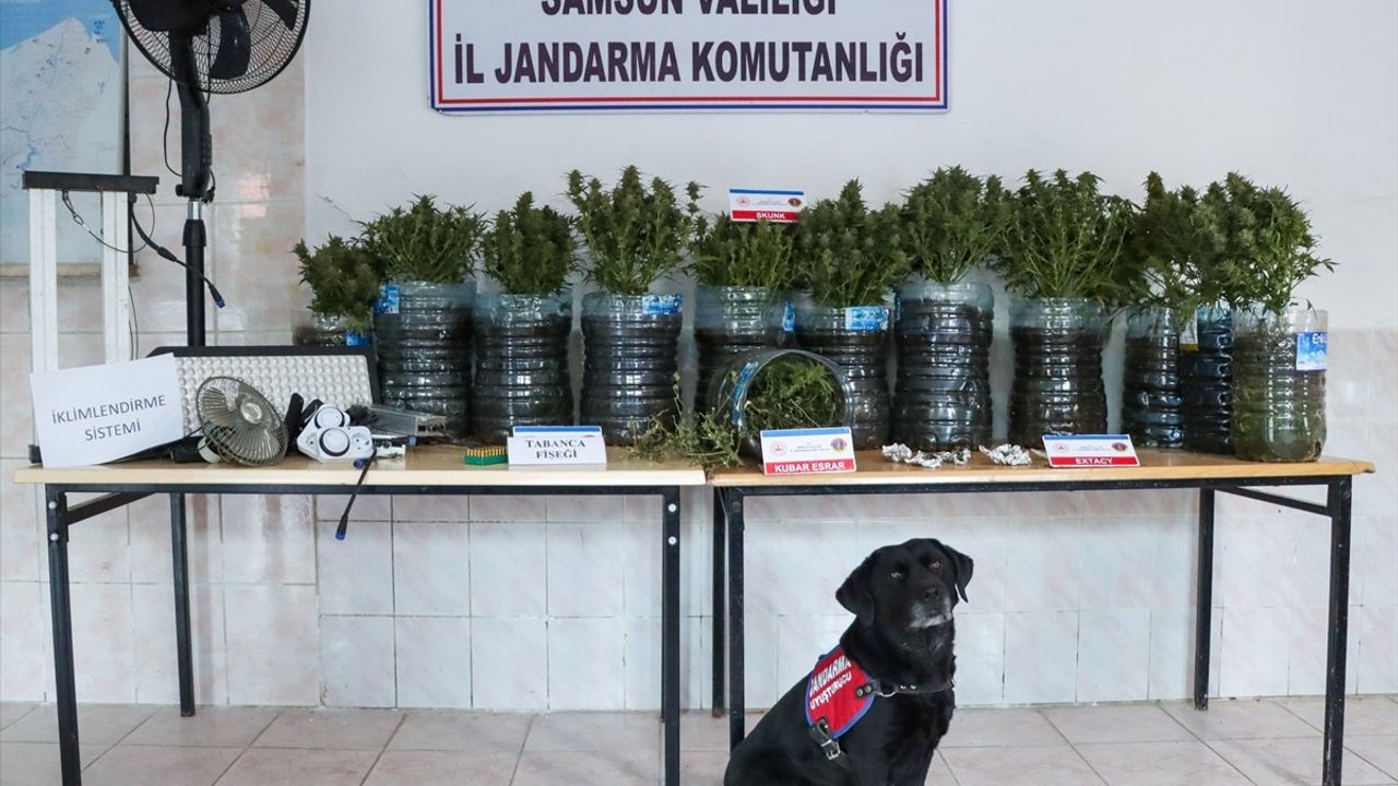 Samsun'da Uyuşturucu Üretiminde İklimlendirme Sistemi Kullanıldı