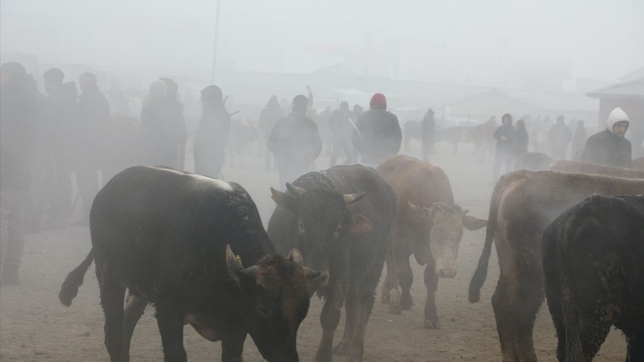 Ağrı, Kars ve Ardahan'da Dondurucu Soğuklar Etkili: Akarsular Buzla Kapağında