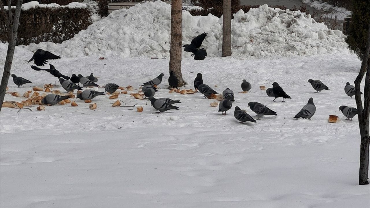 Ağrı ve Erzurum'da Dondurucu Soğuklar Hayatı Olumsuz Etkiledi