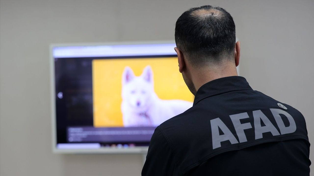 Bitlis'te AFAD Ekiplerinden 'Yılın Kareleri' Oylamasına Katılım