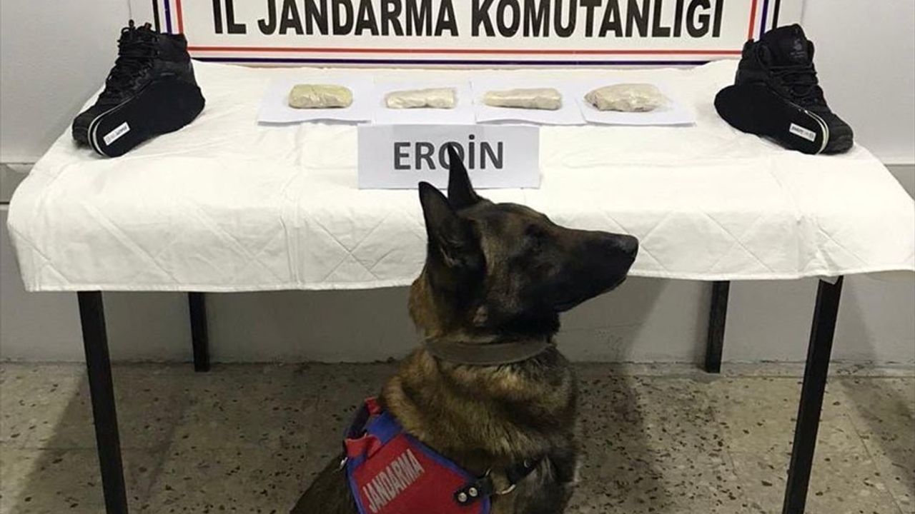 Bitlis'te Ayakkabı Tabanında 500 Gram Eroin Ele Geçirildi