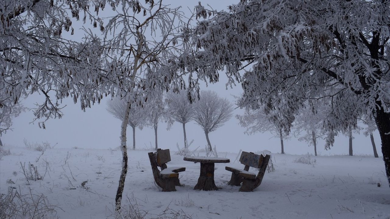 Bitlis'te Sis ve Soğuk Hava Etkili Oluyor