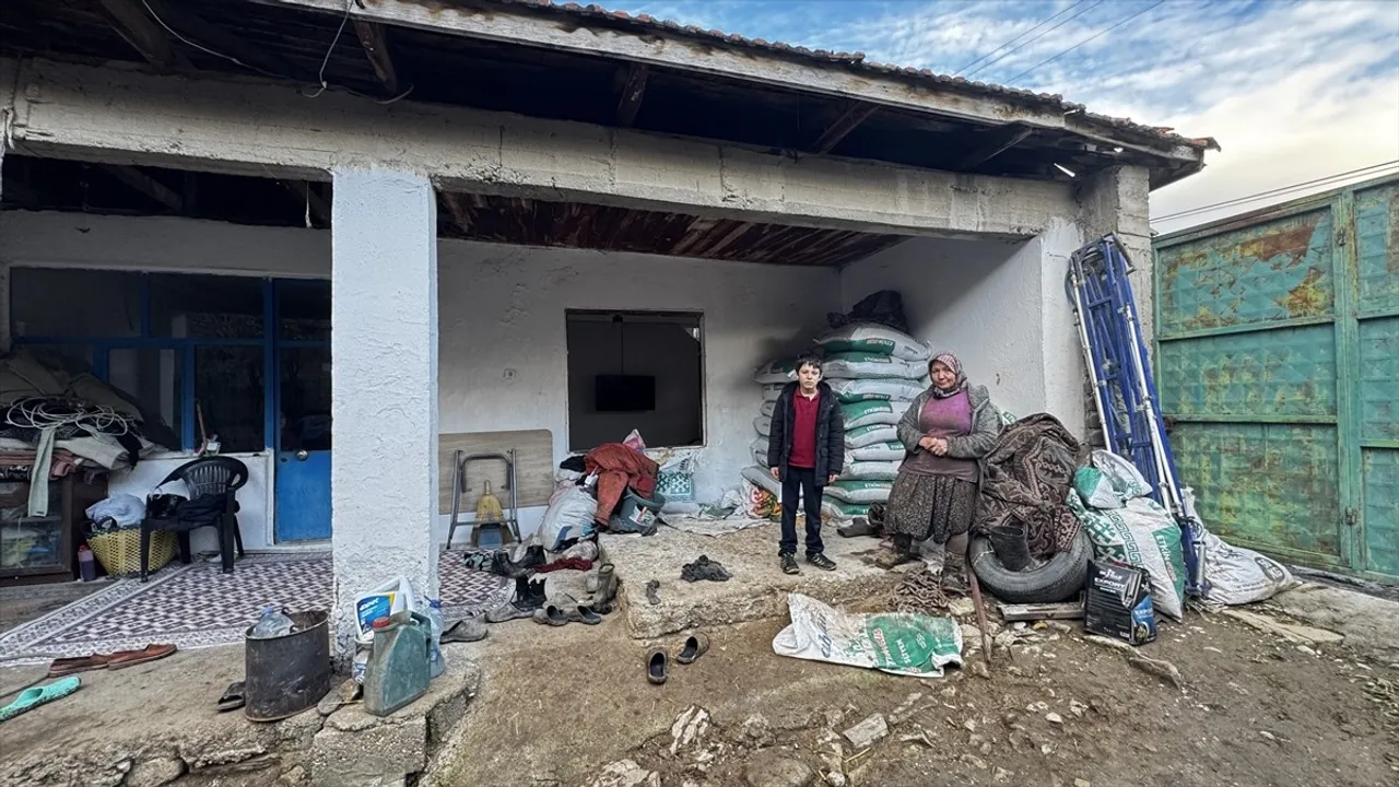 Burdur'da Kaçan Tosun, Pencereden Eve Giriş Yaptı