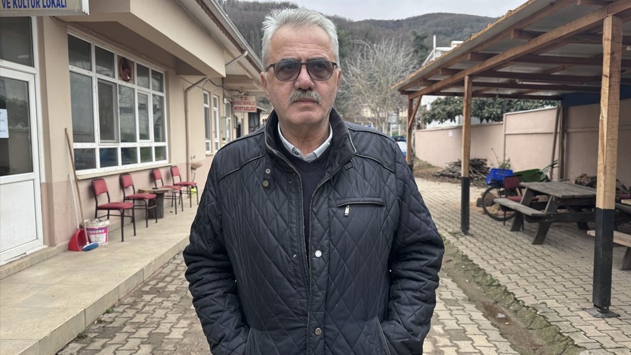 Bursa'da Barınaktan Kaçan Ayının Yakalanması İçin Çalışmalar Başlatıldı