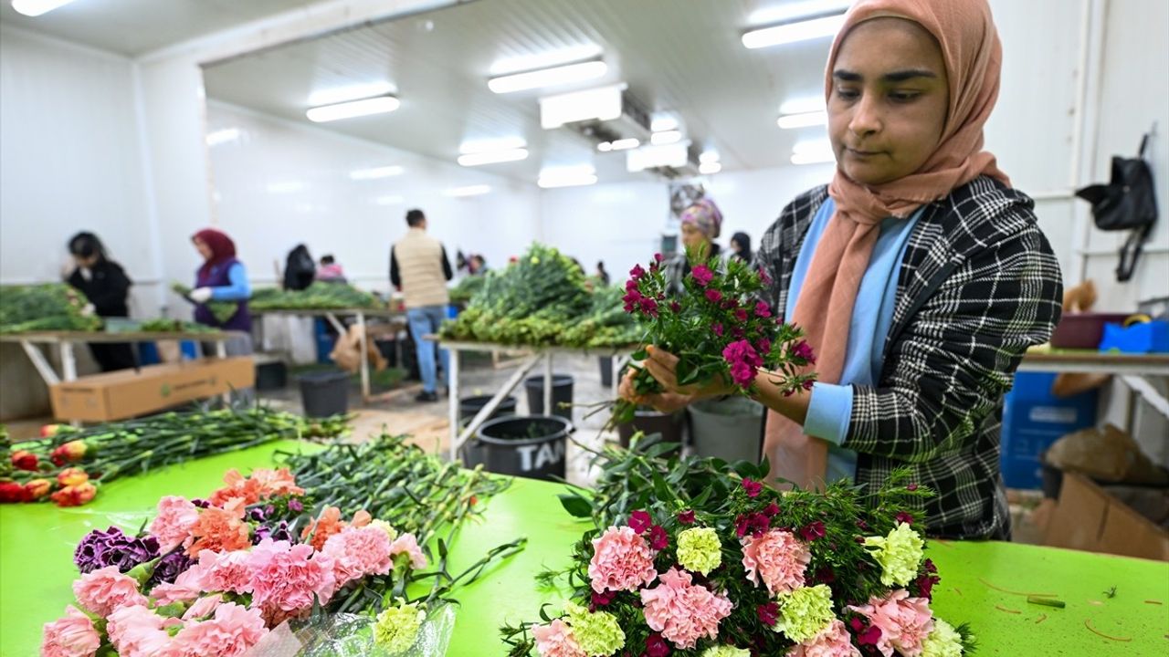 Çiçek Sektörü, Japonya Pazarına Girmek İçin Hedef Belirledi