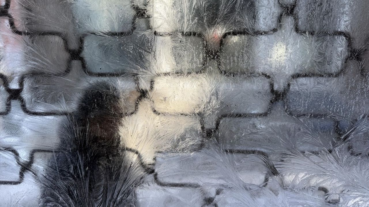 Doğu Anadolu'da Dondurucu Soğuklar Ağaçları Kırağı, Dereleri ve Şelaleleri Buz Tutuyor