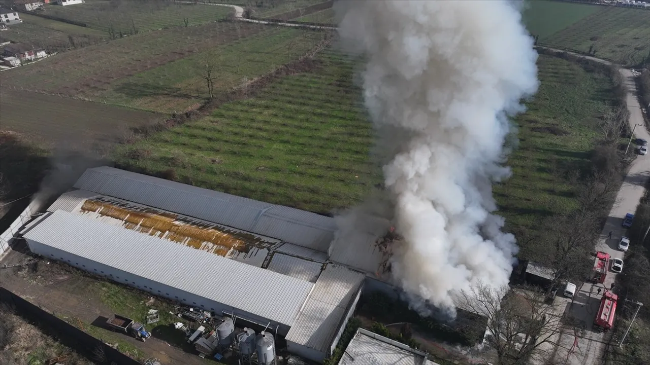 Düzce Yumurta Üretim Tesisi Yangını Kontrol Altına Alındı