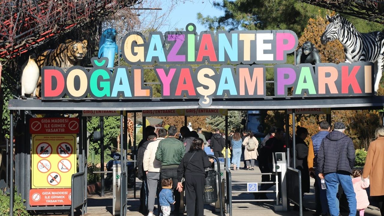 Gaziantep Hayvanat Bahçesi Yılbaşı'nda Ziyaretçilerini Ağırladı