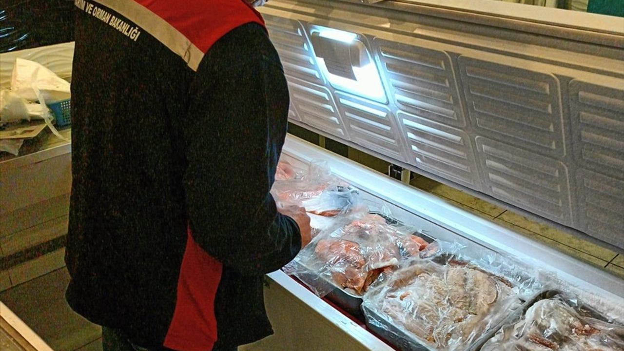 İzmir'de Kaçak 2,8 Ton Kırmızı Et ve 1 Ton Balık Ele Geçirildi