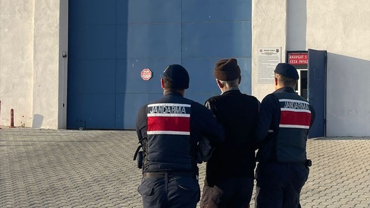 Köpeklerin Saldırısı: Sahibe 4 Yıl 5 Ay 10 Gün Hapis Cezası