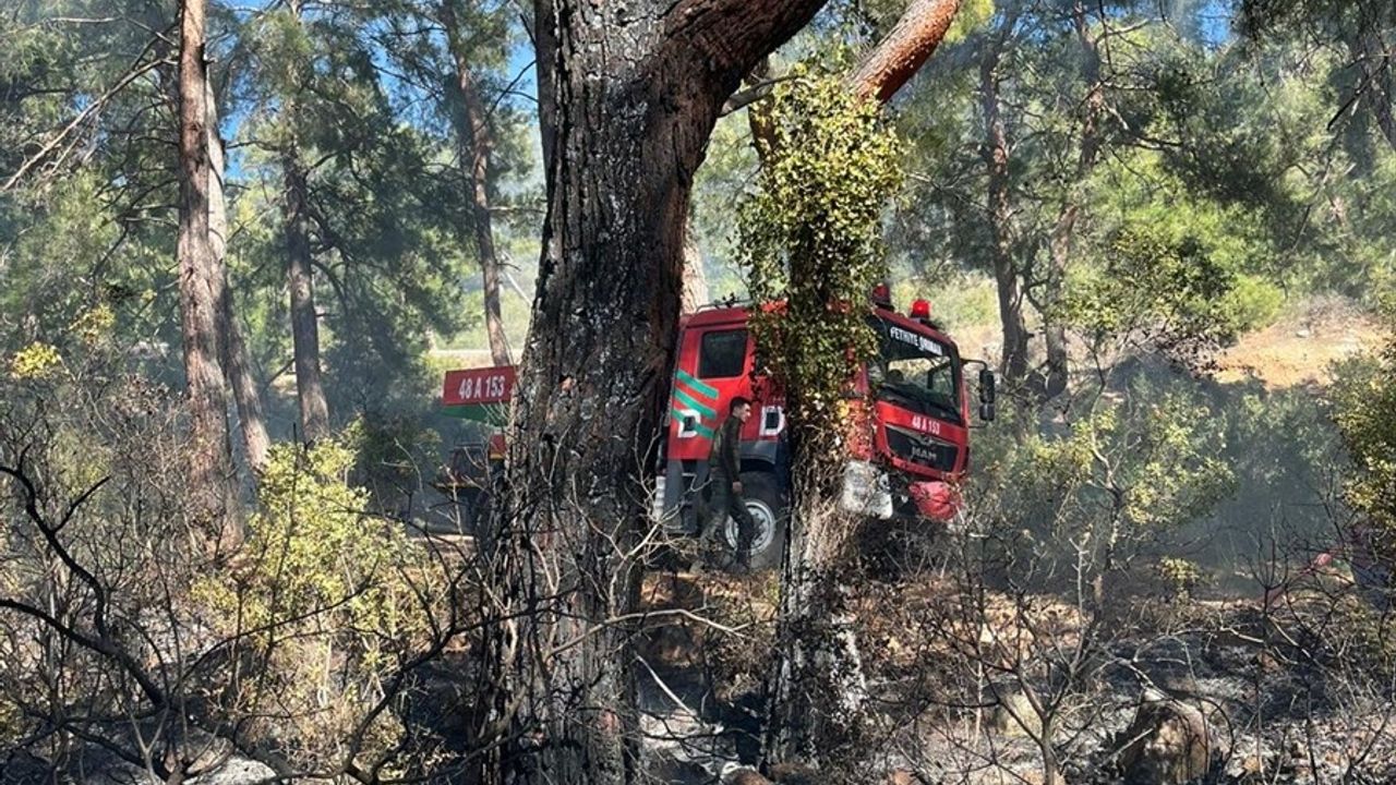 Muğla'da Orman Yangını Hızla Kontrol Altına Alındı