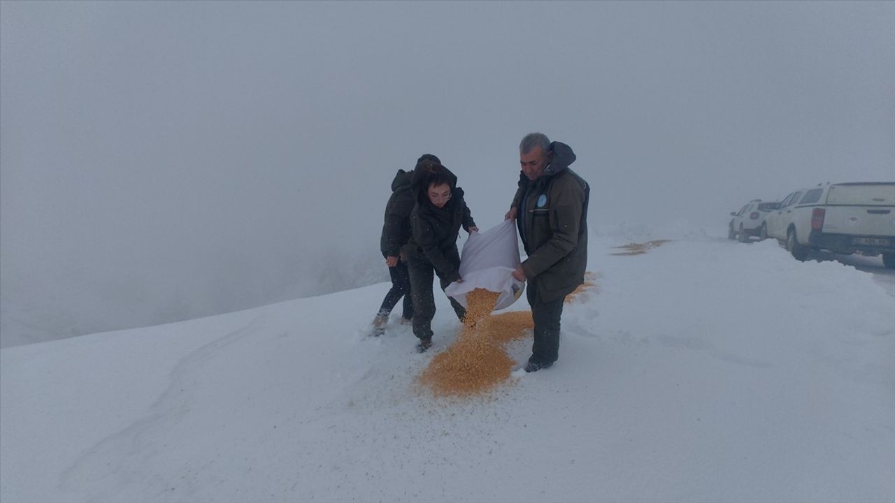 Muğla'da Yaban Hayvanları için Doğaya Yem Bırakıldı