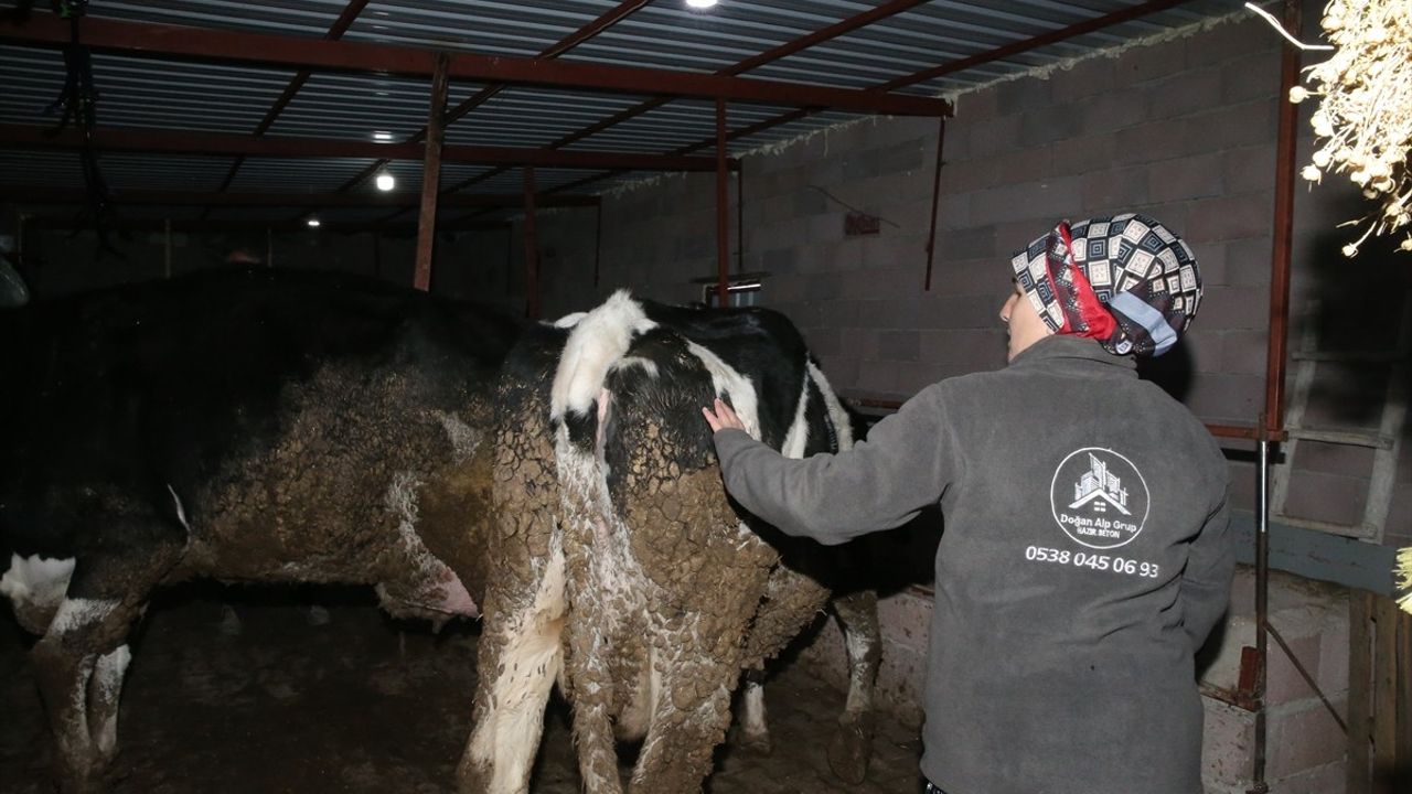 Niğde'de Eski Kadın Hükümlü, Devlet Desteğiyle Hayvancılıkta Başarıya Ulaşıyor