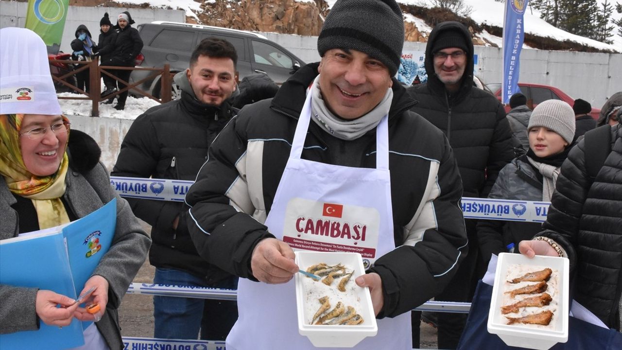 Ordu'da 1301 Çeşit Dondurma Guinness Rekorlar Kitabı'na Girdi