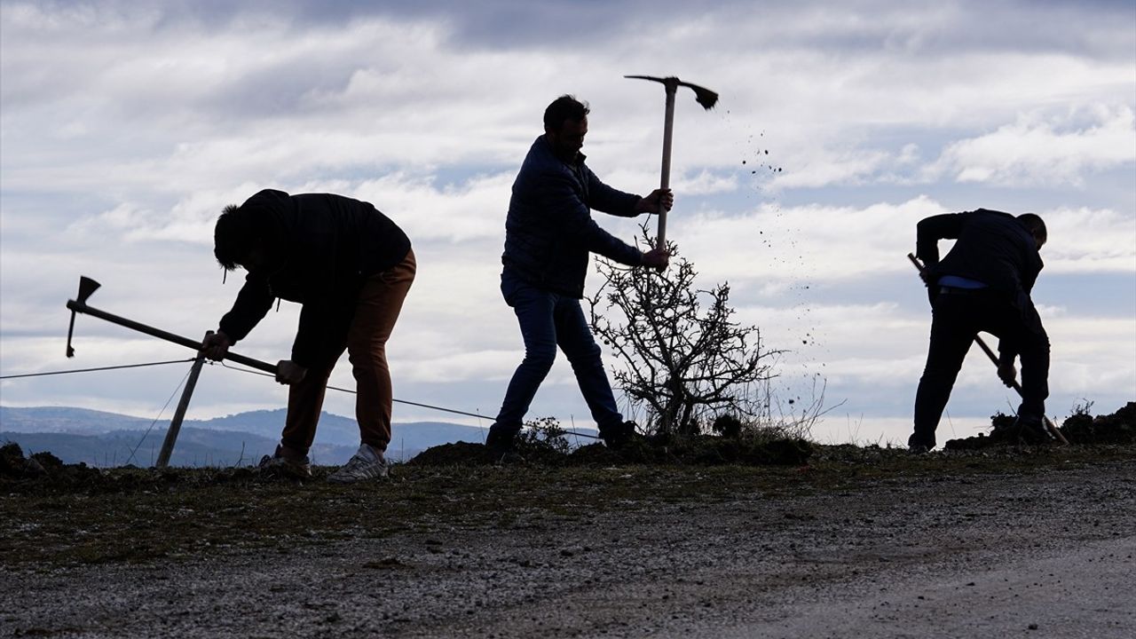 Yaylabaşı Köyü'nde Her Doğan Bebek İçin Fidan Dikme Projesi