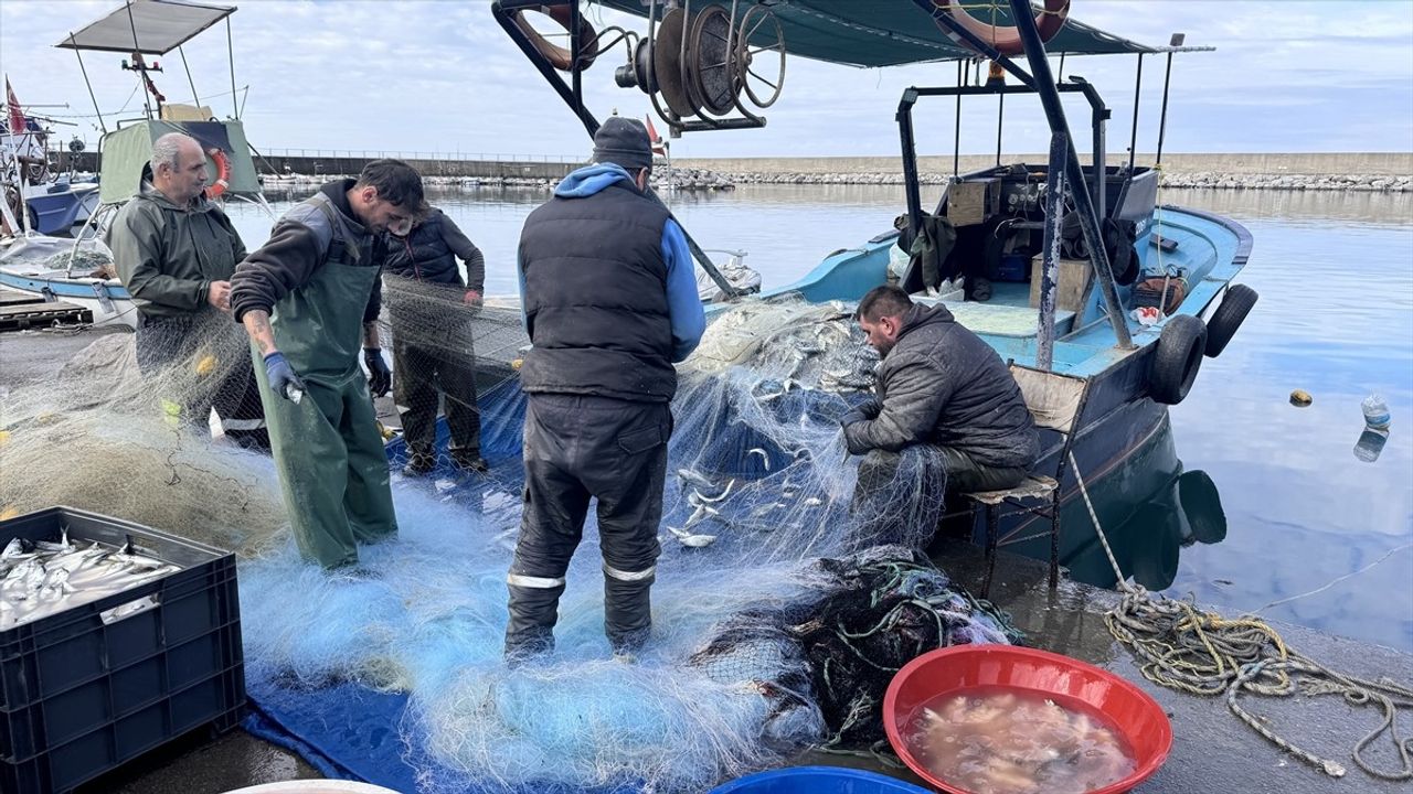 Zonguldak'ta 2 Ton Lüfer Avlandığı Müjdesi