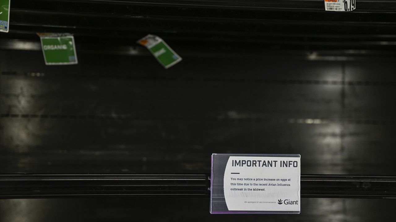 ABD'de Kuş Gribi Salgını Yumurta Fiyatlarını Uçurdu!