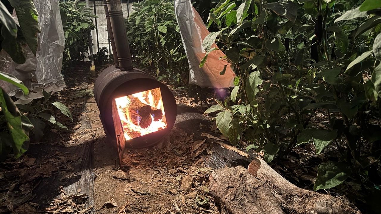 Antalya'da Üreticiler Zirai Don Nöbeti Tutarak Ürünlerini Koruyor