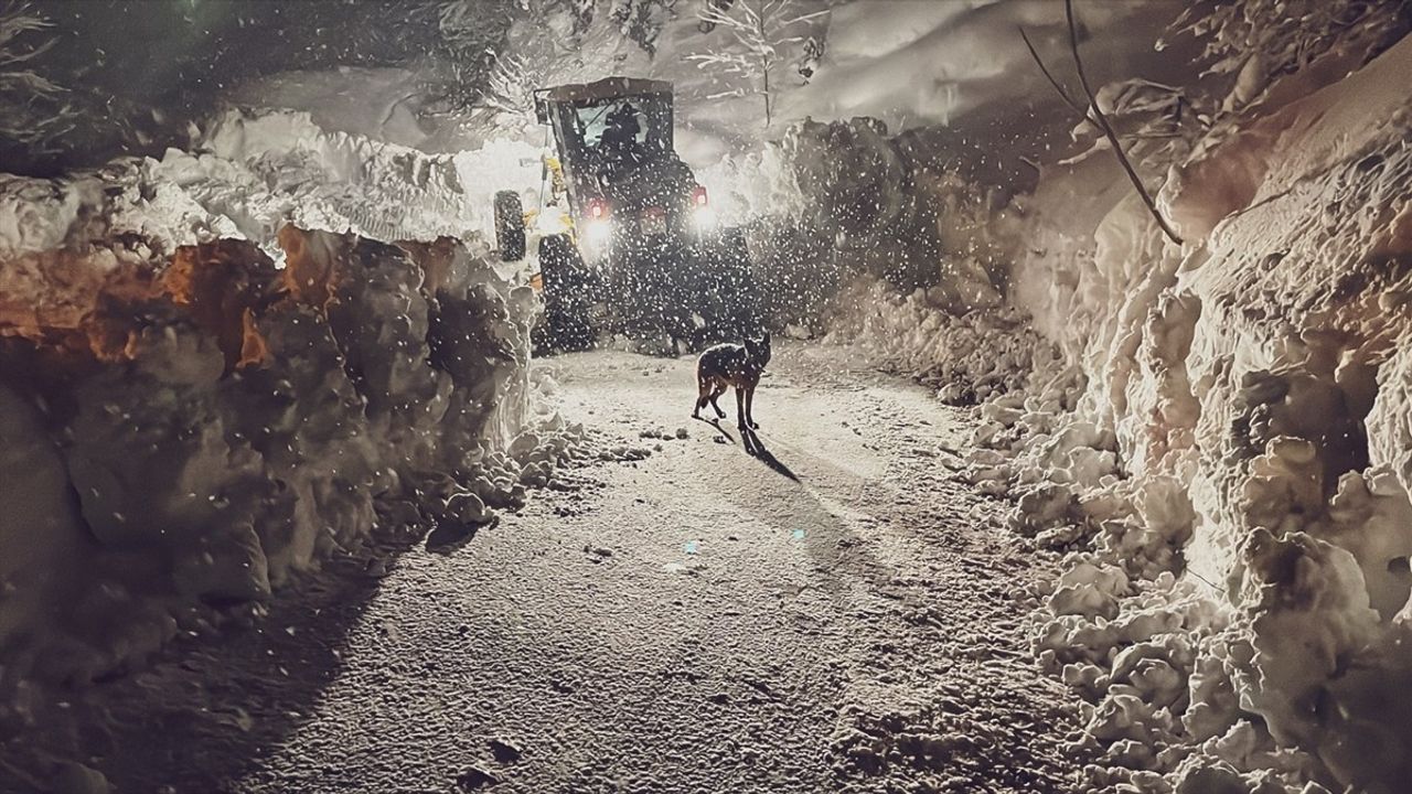 Artvin ve Rize'de Kapalı 316 Yerleşim Yerinde Karla Mücadele Sürüyor