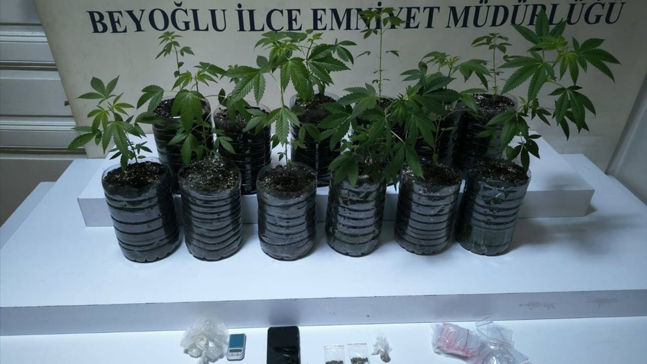 Beyoğlu'nda Uyuşturucu Yetiştiren Zanlı Tutuklandı