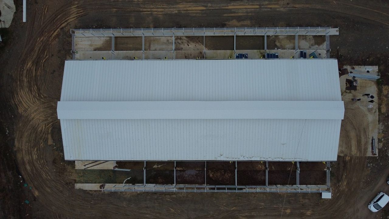 Bilecik'te Devlet Destekli Çiftlikte Büyükbaş Hayvan Yetişiyor