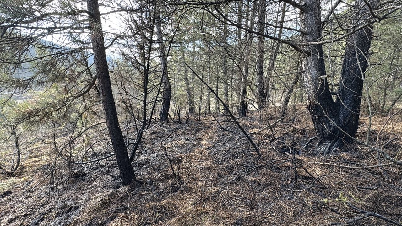 Bolu Göynük'te Korkutan Yangın Kontrol Altına Alındı