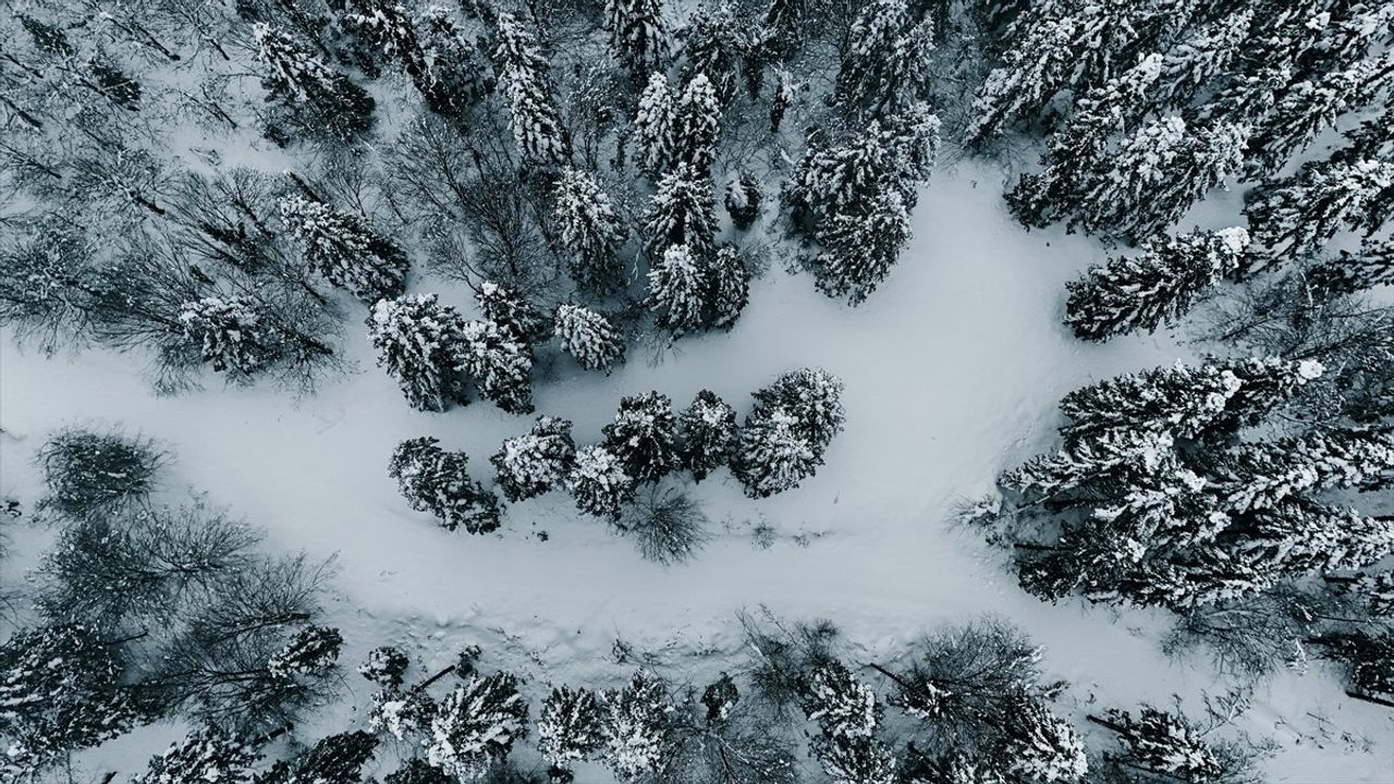 Çam Dağı'nda Kış Manzarası: Ormanlar FPV Dron ile Görüntülendi