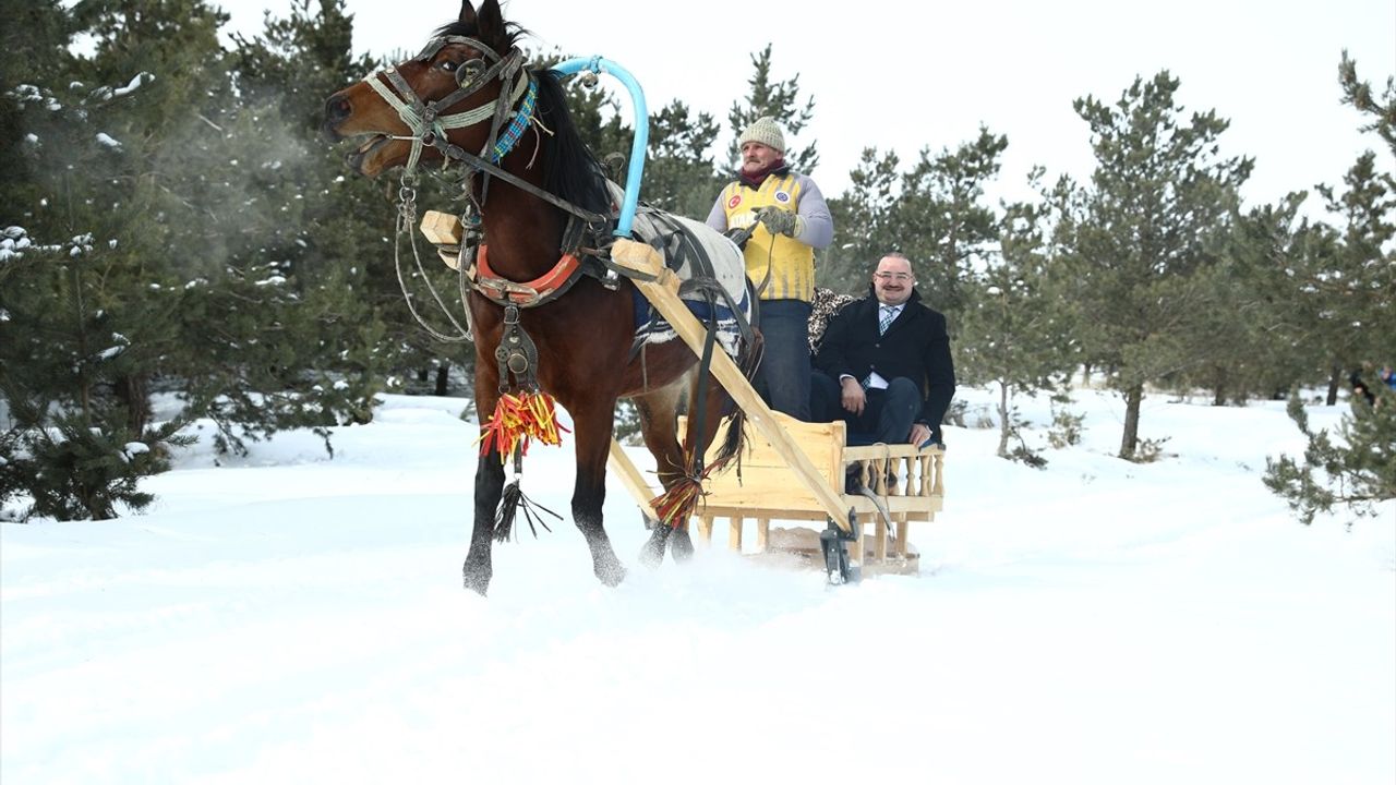 Erzurum'da Yeni Kızak Pisti ve Snow Tubing Heyecanı