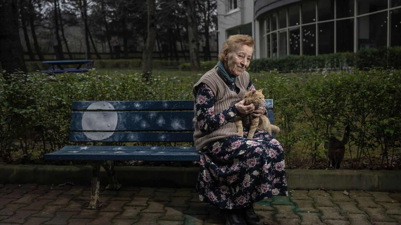 Göztepe Huzurevi'nde 'Kedi Huzurevi' Kuruldu: Patili Dostlarına Yeni Yuva