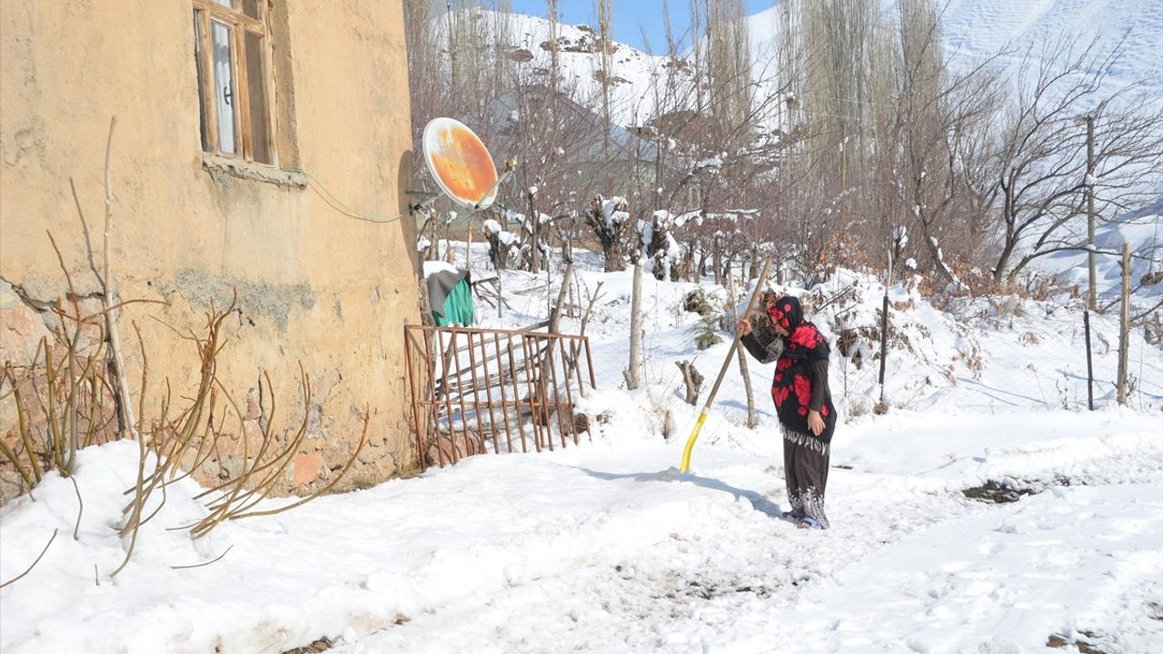 Hakkari'de Yalnız Yaşayan Kadının Zorlu Mücadelesi