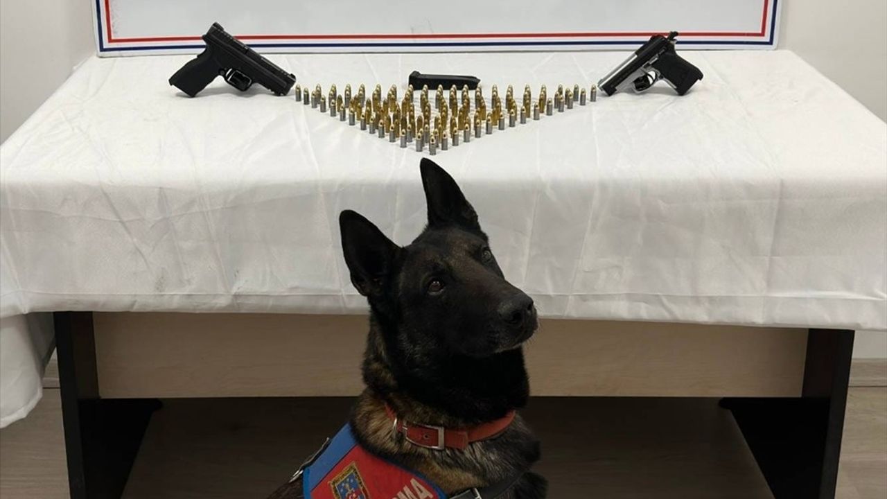 Kastamonu'da Uyuşturucu Operasyonunda 13 Zanlı Yakalandı