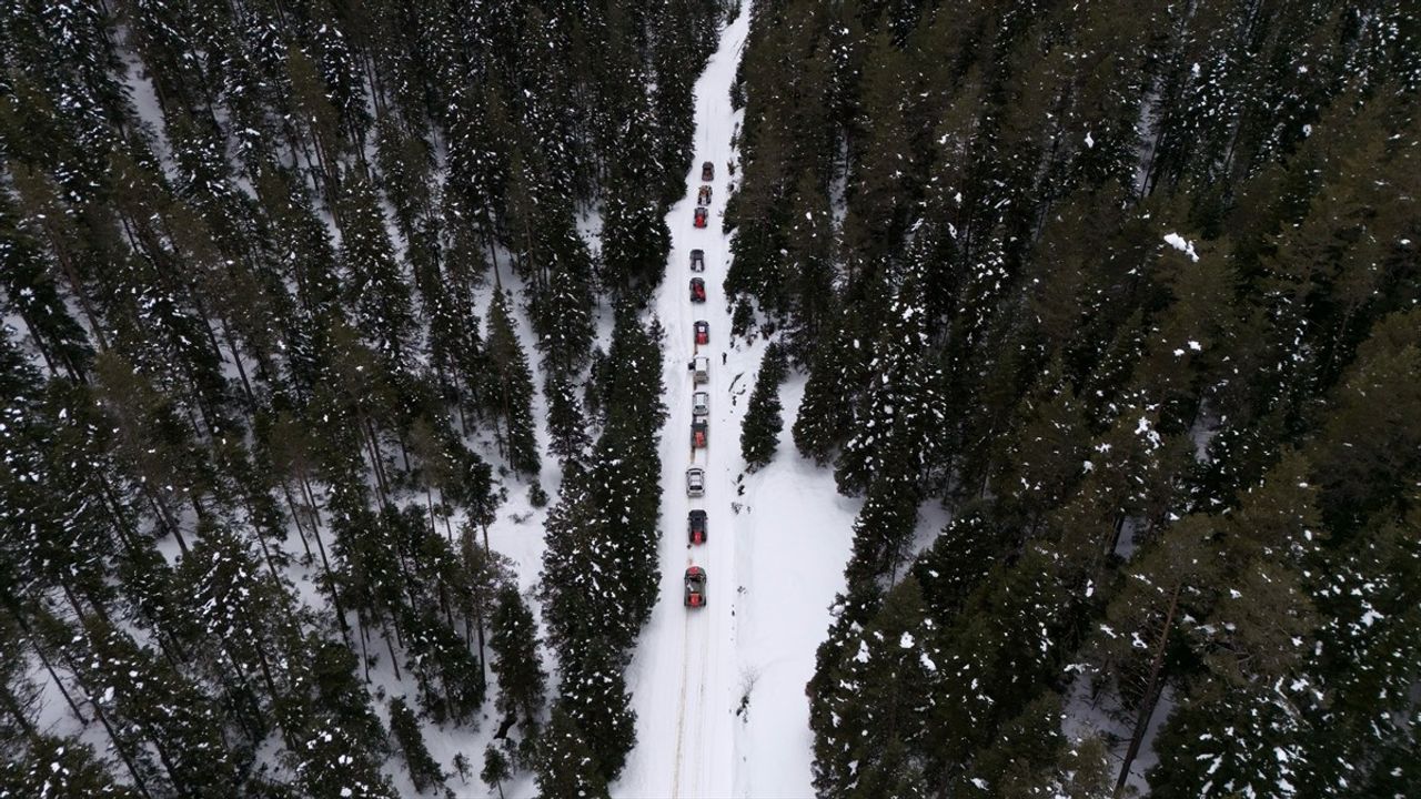 Kastamonu'da Yaban Hayvanlarına Kış Destek: Doğaya Yem Bıraktılar