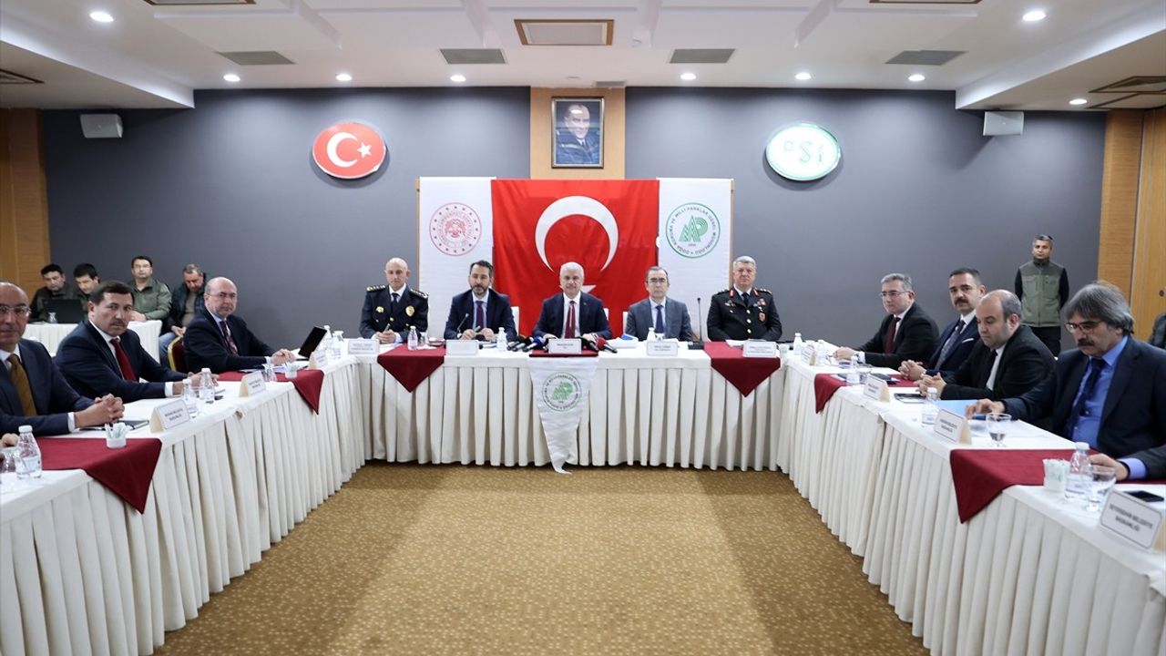 Konya'da Sahipsiz Köpeklere Yüksek Ceza: 71 Bin 965 Lira!