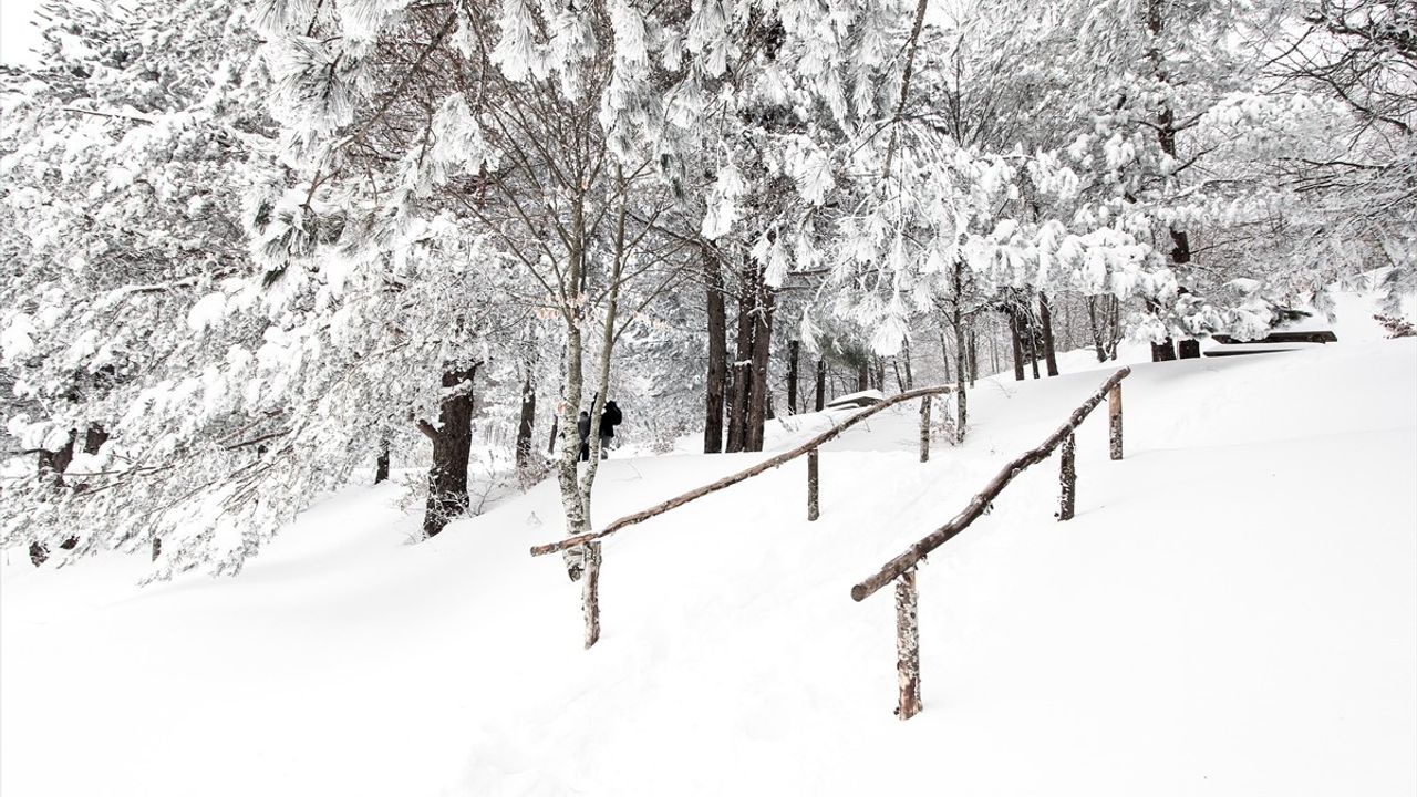 Kütahya'daki Topuk Yaylası Tabiat Parkı Karla Kaplandı