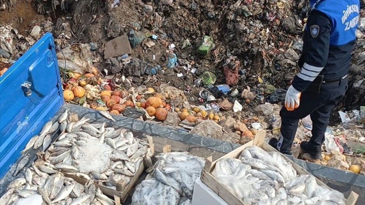 Mersin'de 16 Kasa Sağlıksız Balık İmha Edildi