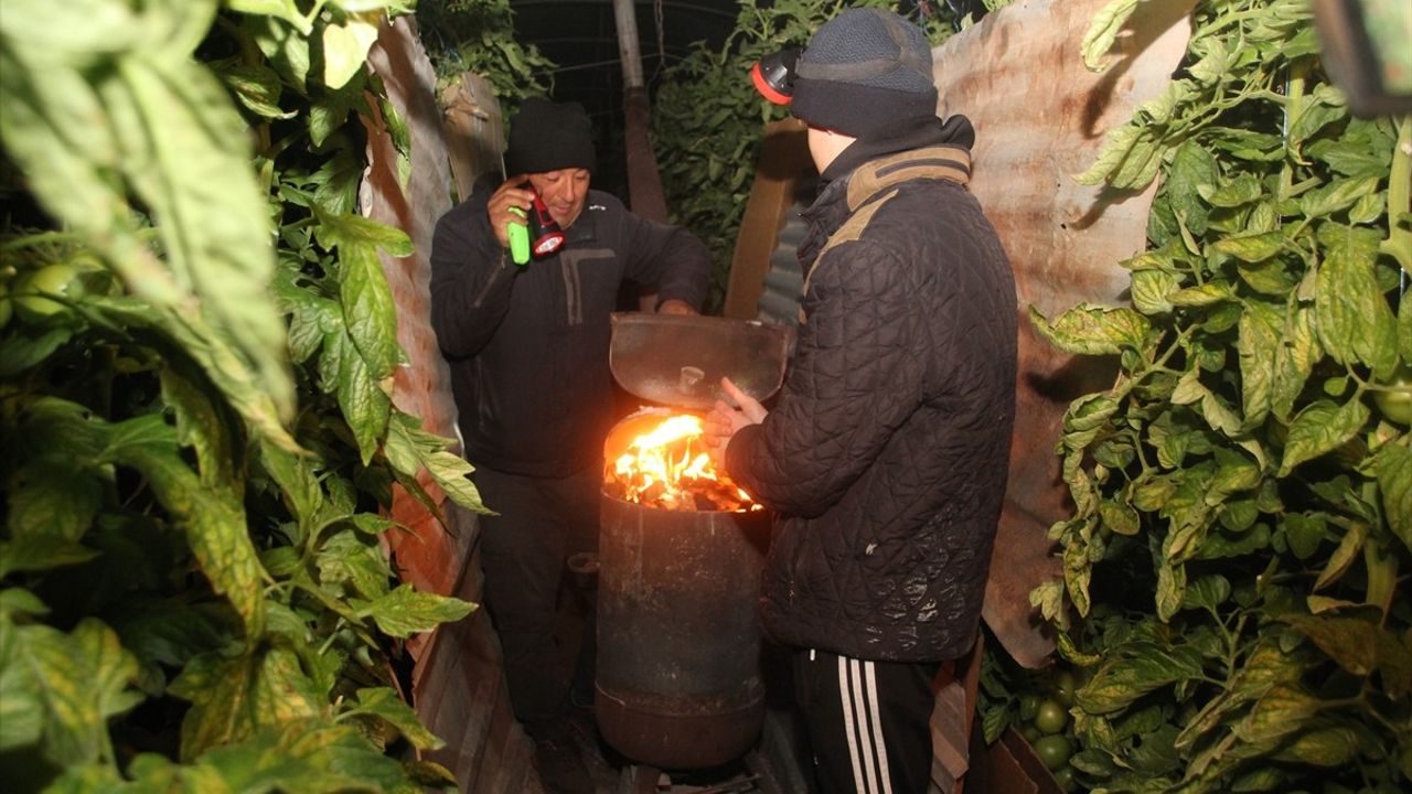 Mersin'de Çiftçiler Zirahi Dondan Korunmak İçin Sobalarla Nöbet Tutuyor
