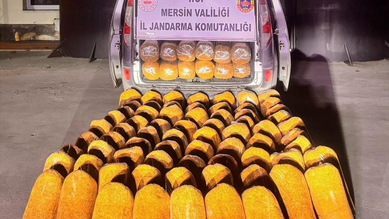 Mersin'de Kaçak Tütün Operasyonu: 580 Kilogram Ele Geçirildi