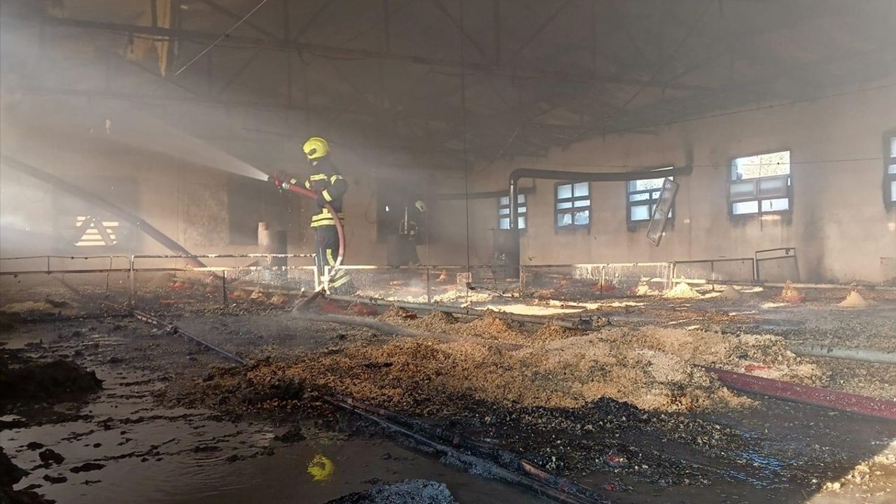 Mersin Tarsus'ta Tavuk Çiftliğinde Yangın: 6 Bin 800 Civciv Telef Oldu